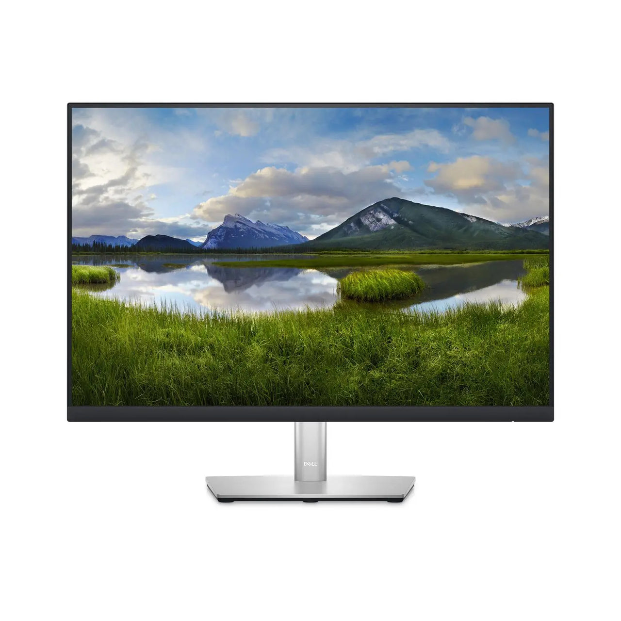 P Series (24") Monitor - P2423 Dell