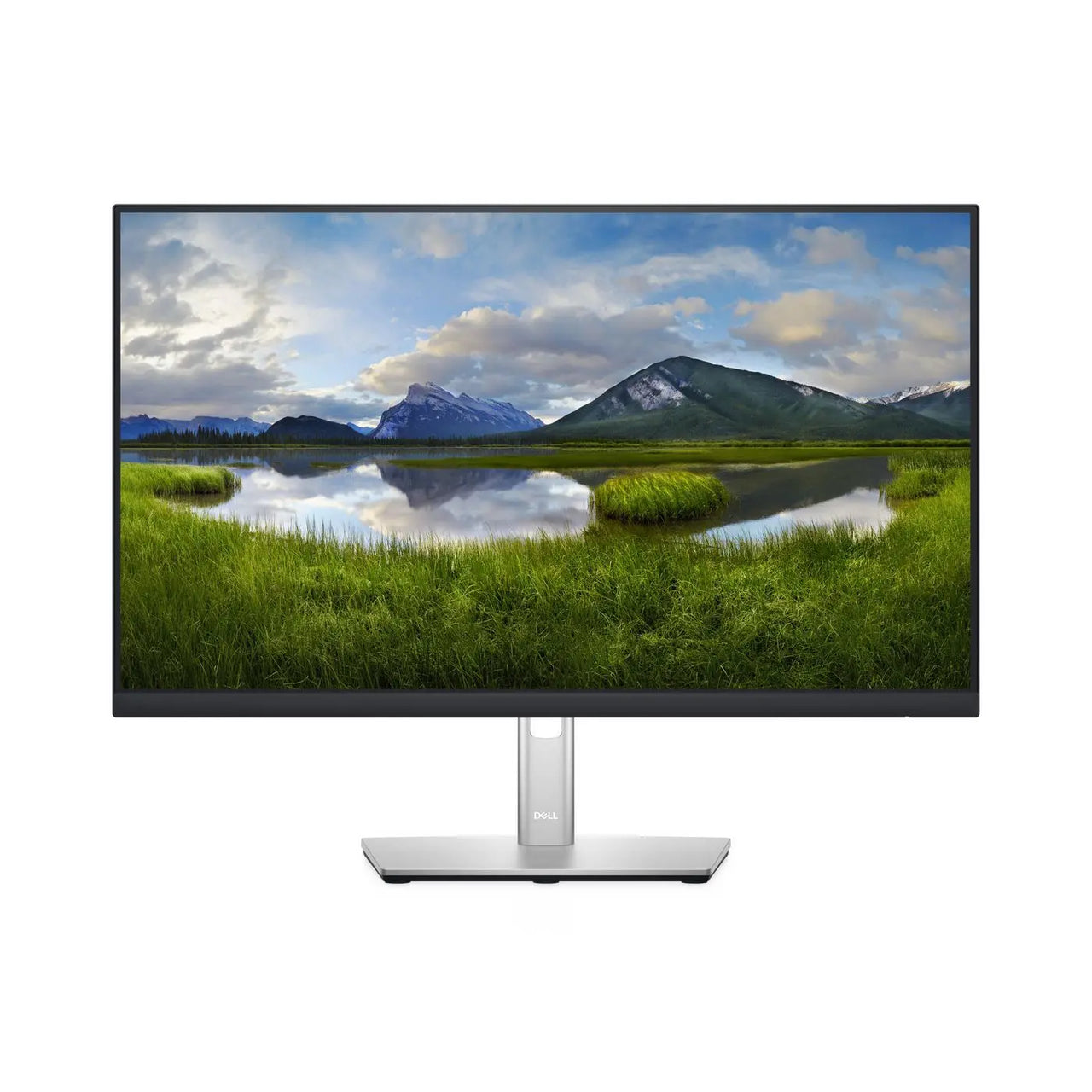 P2422H 60.5 cm (23.8") 1920 x Dell