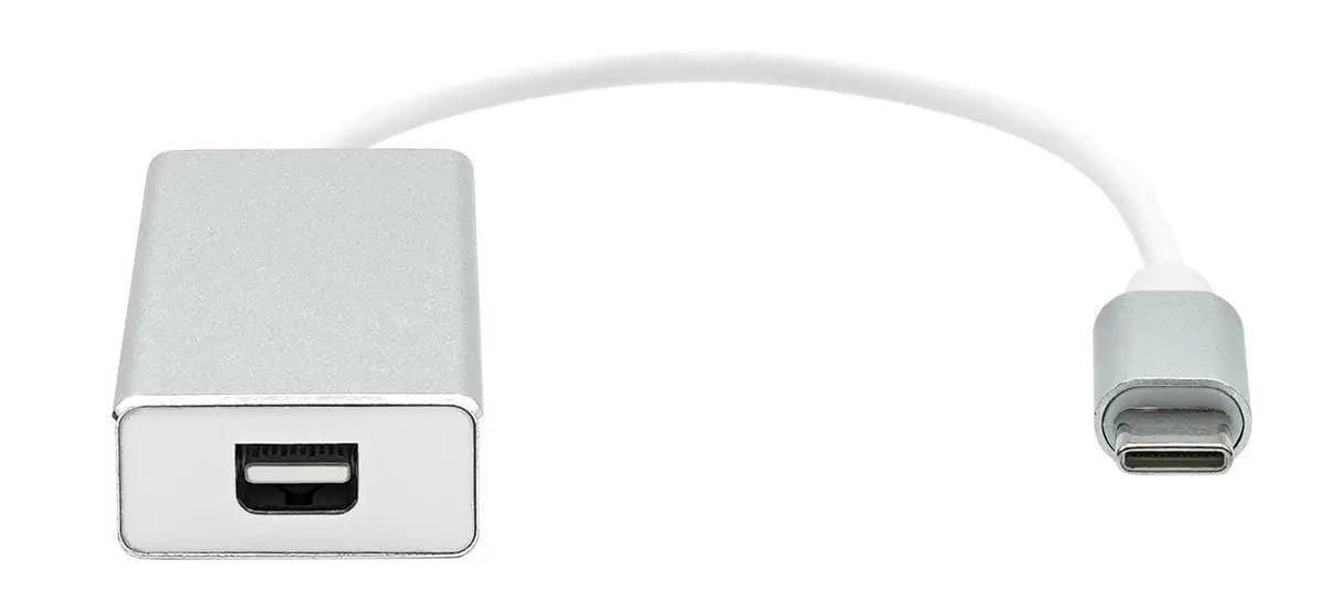 USB-C to Mini DP 20cm silver ProXtend